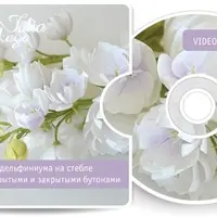 Цветы из фоамирана