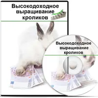 Высокодоходное выращивание кроликов