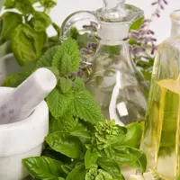 Травы для здоровья всей семьи на каждый день