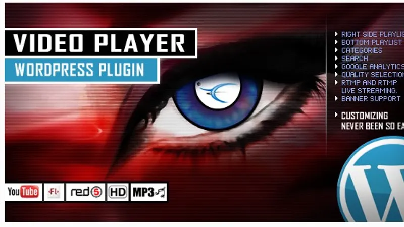 Video Player Wordpress Plugin YouTube FLV H264