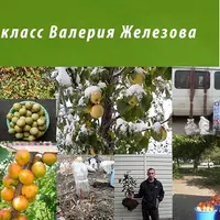 Уникальный обучающий мастер-класс по садоводству