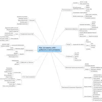 Как заставить себя работать и все успевать