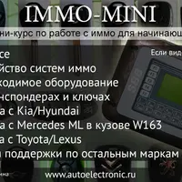 Видеокурс иммо мини