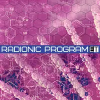 Radionic Program DNA - Штурм мозга