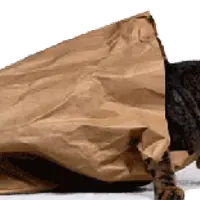 English Idioms Course