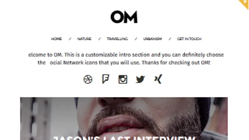 OM - A stylish blogging theme for WordPress