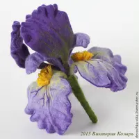 Ирис из шерсти