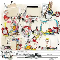 School is Cool Clusters