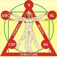 Прикладная кинезиология. 1 курс обучения