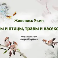 У-син: Цветы, птицы, травы и насекомые