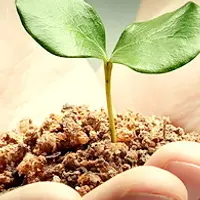 Интераура - Лечение и профилактика: Ожирение