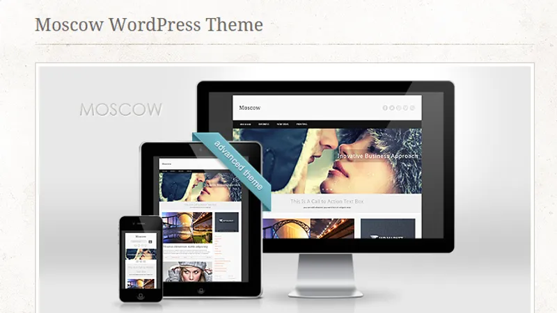 24 темы от wptriumph + безлимитная подписка