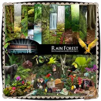 Набор для скрапбукинга Rain Forest