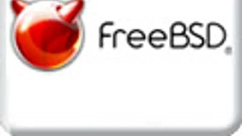 FreeBSD. Уровень 2. Использование в качестве серверов в Internet