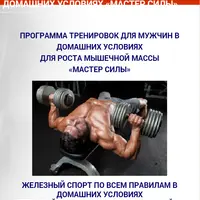 Мастер силы: программа тренировок для мужчин в домашних условиях