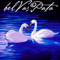 Вебинары по направлениям Белваспата