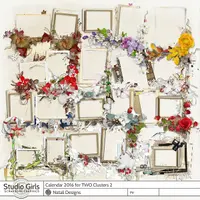 2016 Calendar For TWO Clusters 2