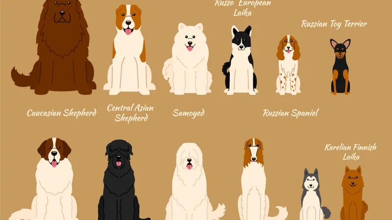 Collection of different dogs Иллюстрации собак