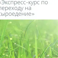 Культура сыроедного питания: рецепты, очищение, голодание